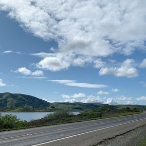 Meet your Posher, Jane